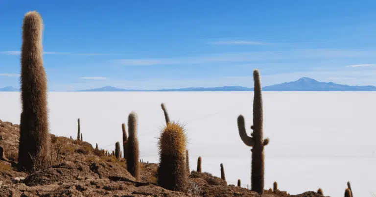 Bolivia Salt Flats: The Ultimate Guide To Salar De Uyuni