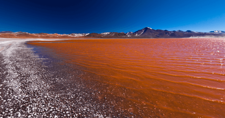 Laguna Colorada: Ultimate Guide to Bolivia’s Red Lake [2023]