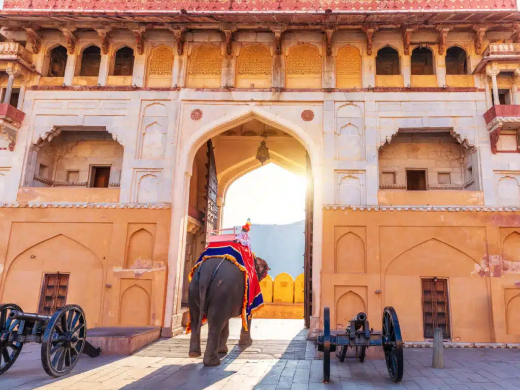things to do in jaipur india