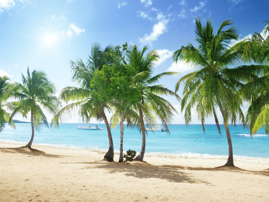best things to do in puerto plata