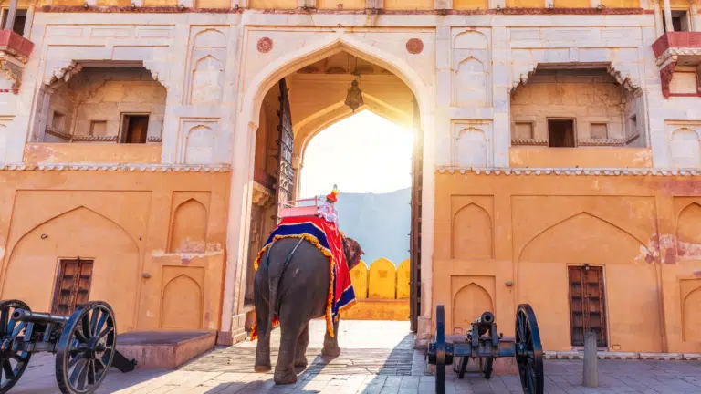 15 Best Places To Visit in India (You Can’t Miss!)