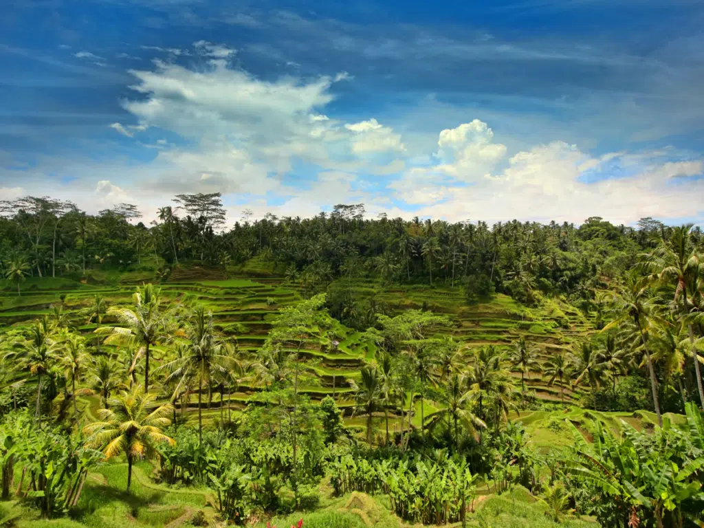 free things to do in in bali