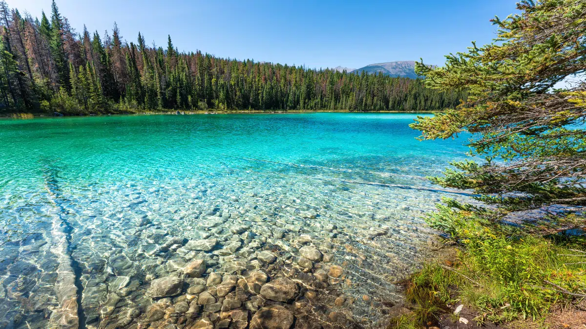 clear lakes