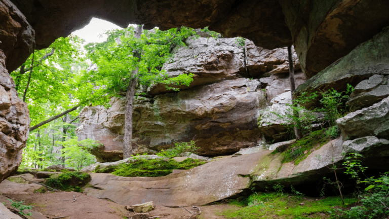 18 Best Things To Do in the Ozarks