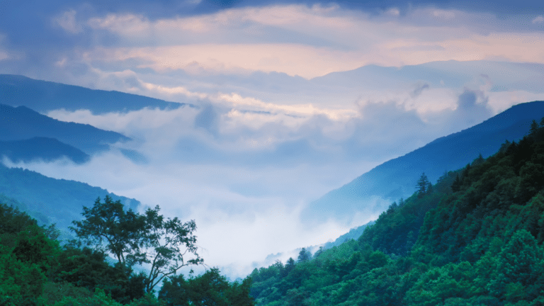 10 Things To Do in Townsend, TN: The Peaceful Side of The Smokies