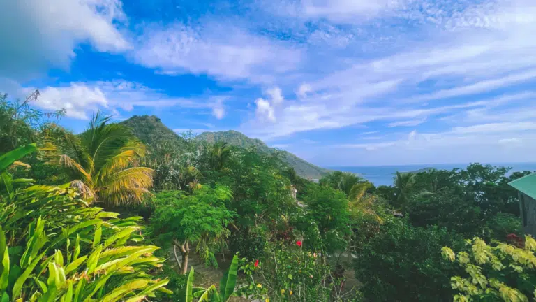 Ultimate Dominica Itinerary: 4 Days in Dominica