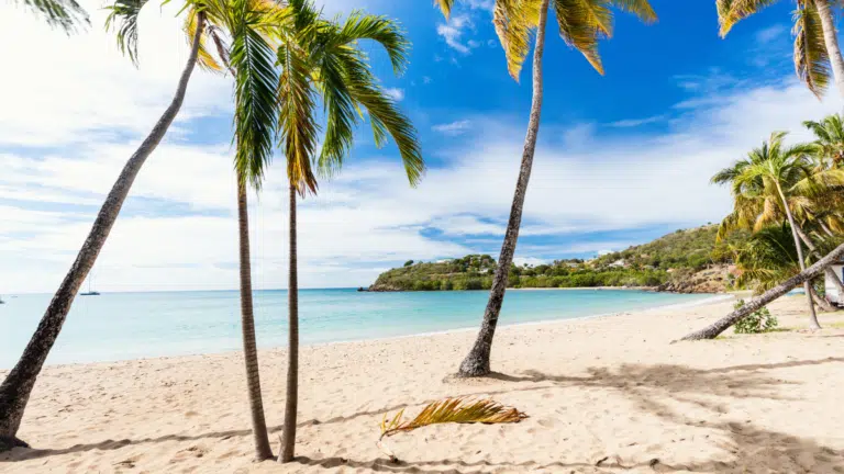 Antigua and Barbuda: Ultimate Traveler’s Guide, According to Locals [2024]