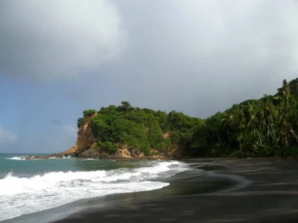 beaches in dominica