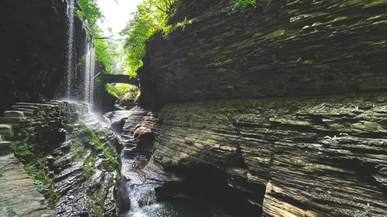 Watkins Glen, New York: Ultimate Local’s Guide for Visitors [2023]