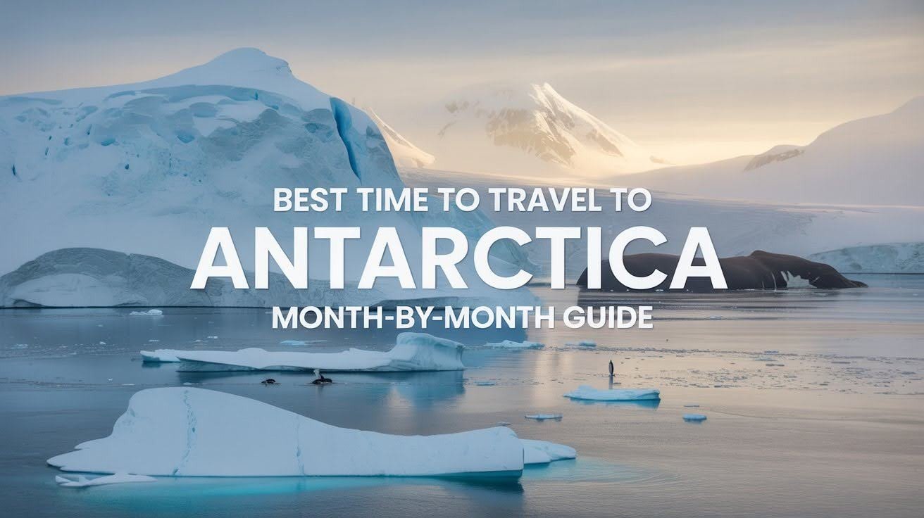 Best Time to Travel to Antarctica