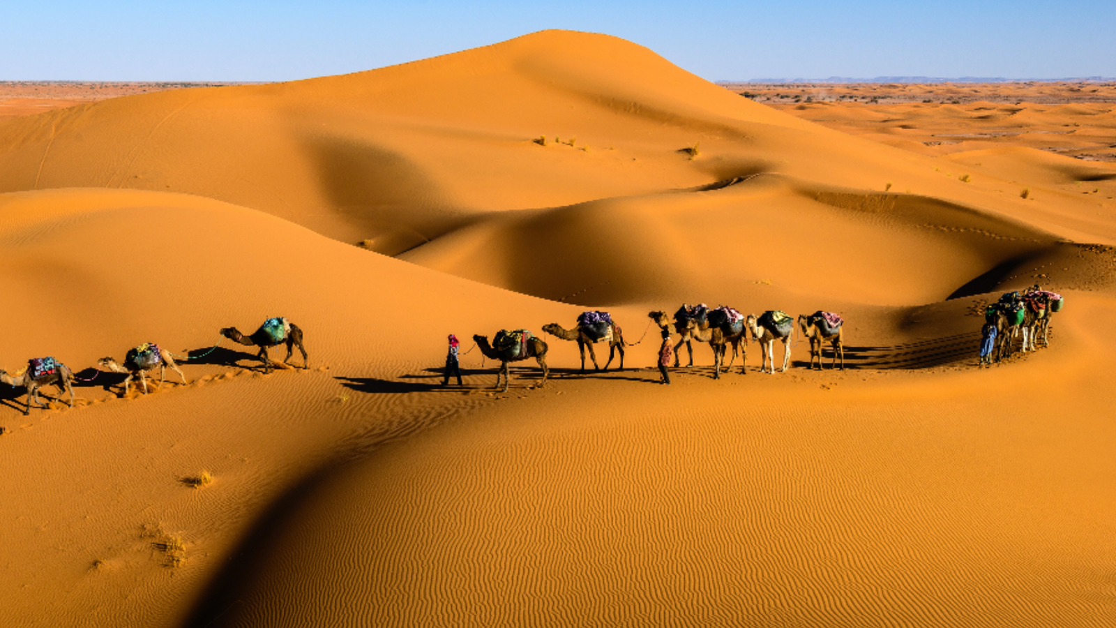 Desert Safari and Dubai's Natural Landscape