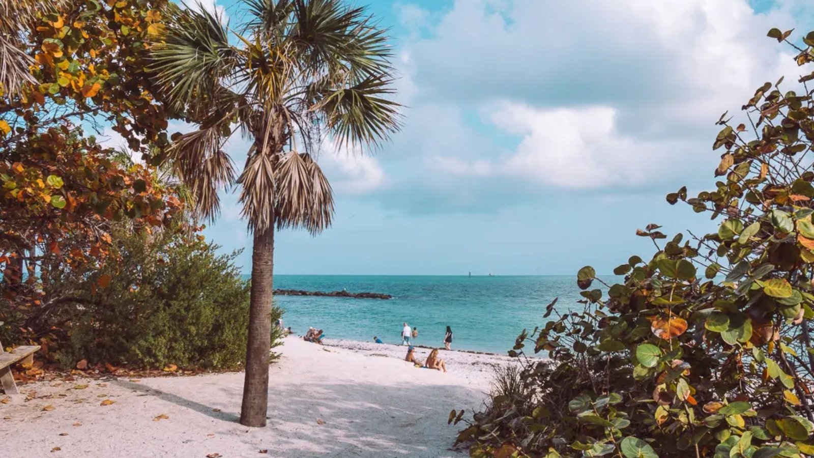 Best Beaches to Visit