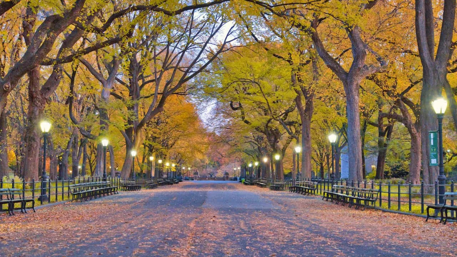 The Mall and Literary Walk