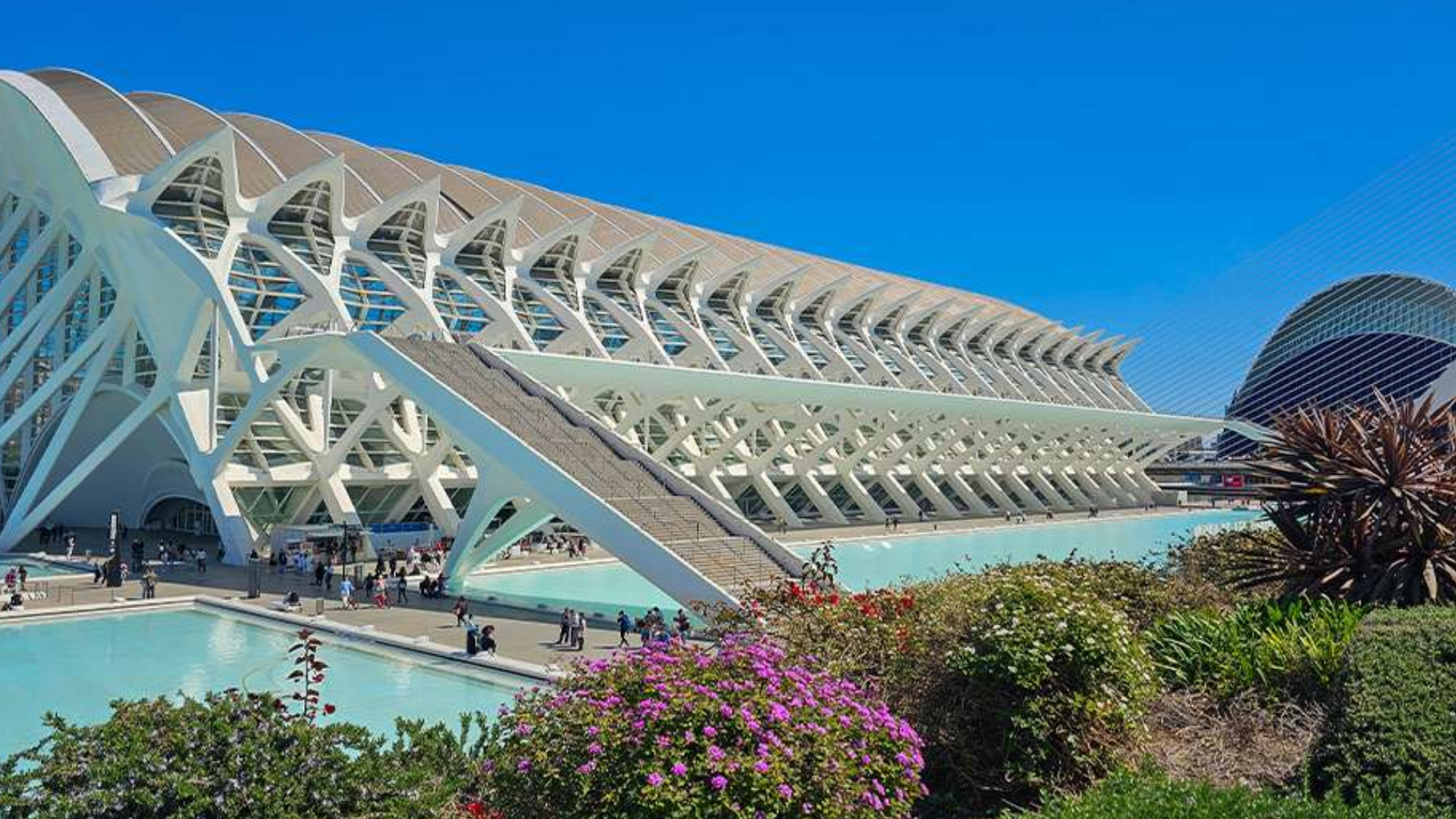 Museums and Relaxation