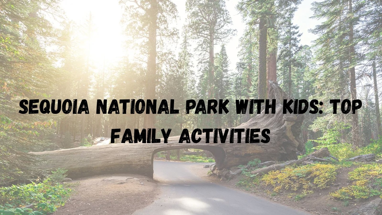 Sequoia National Park With Kids