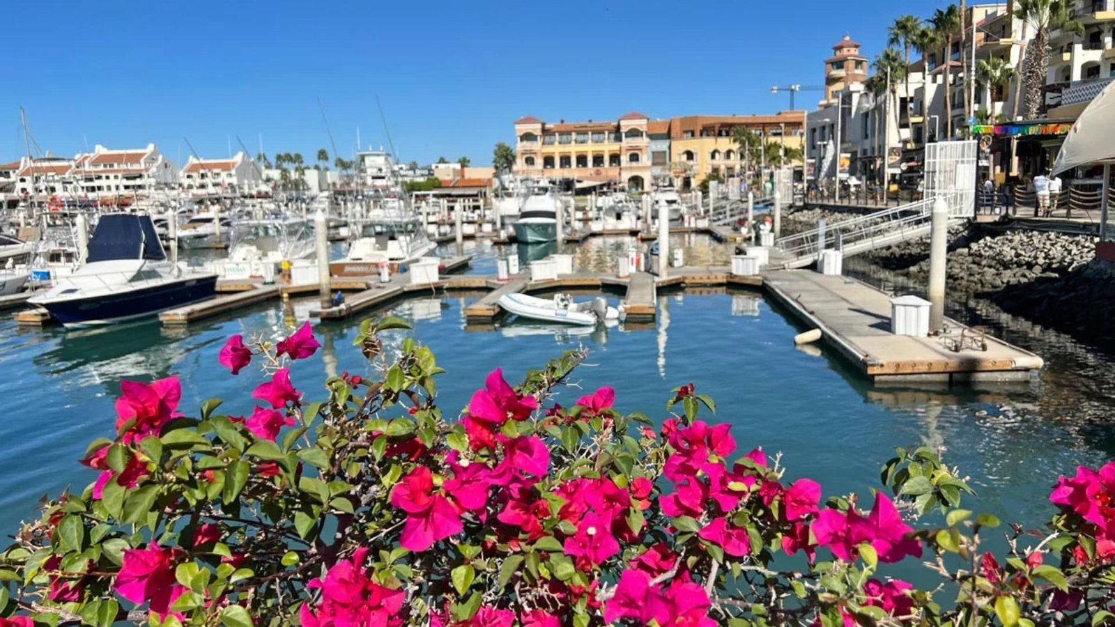 7 Day Cabo Itinerary