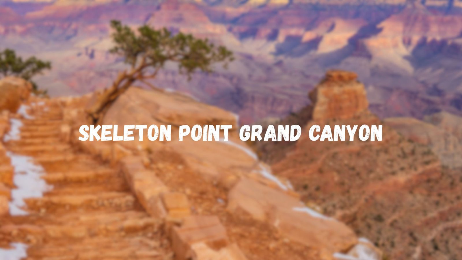 Skeleton Point Grand Canyon