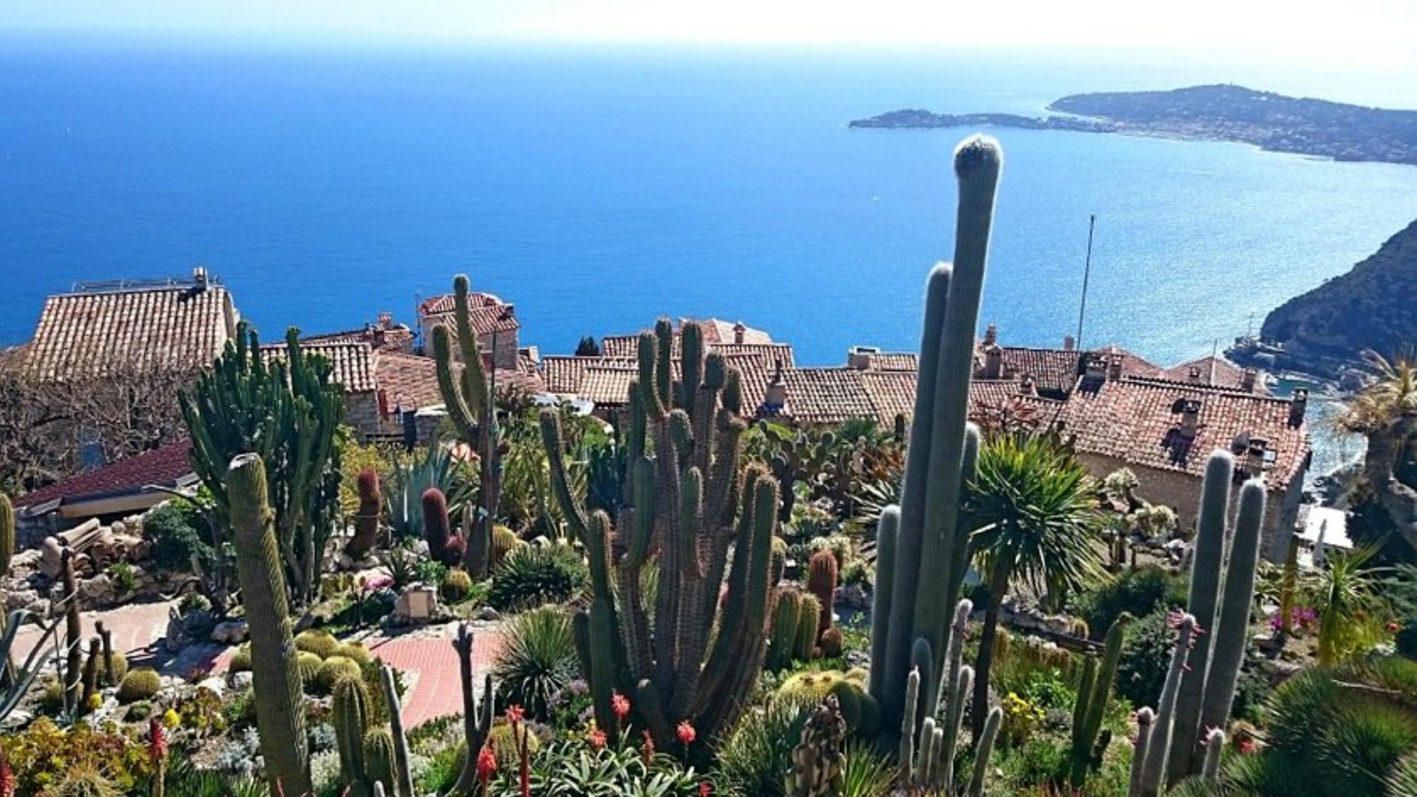 Visit Jardin Exotique