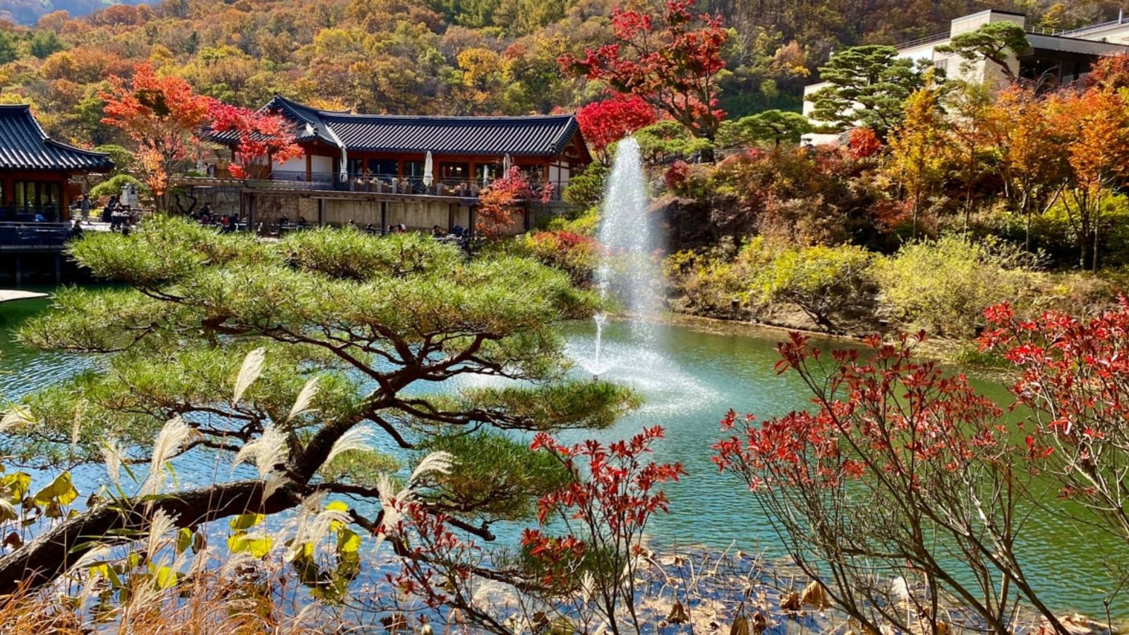 Hwadam Botanical Garden