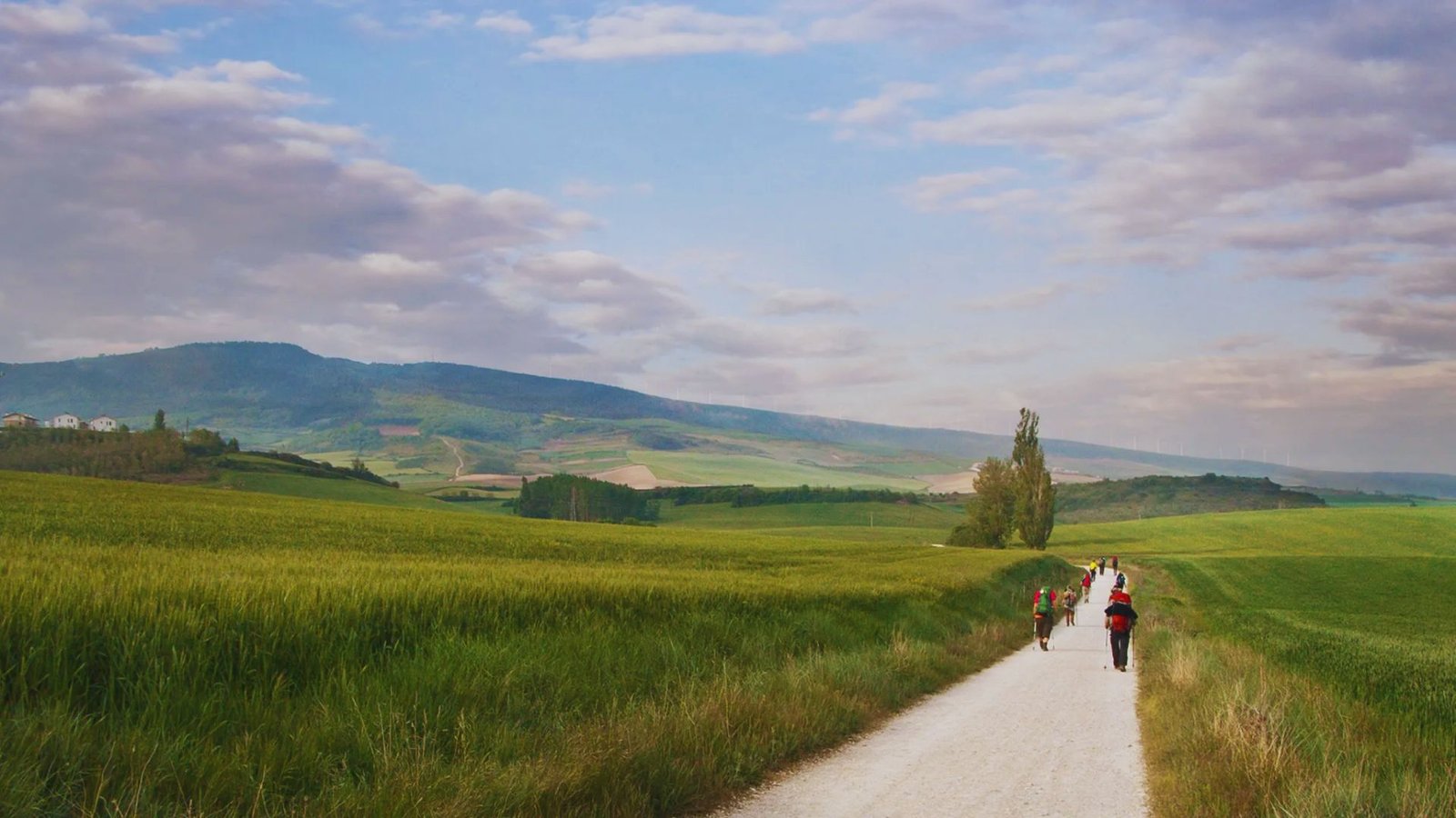 Can You Walk the Camino in Stages Over Several Years