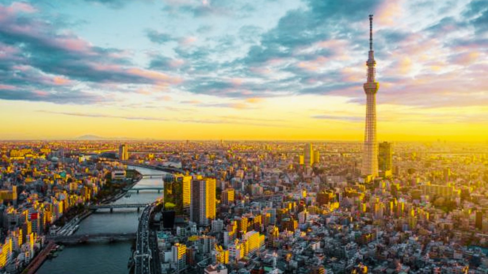 Tokyo City Exploration