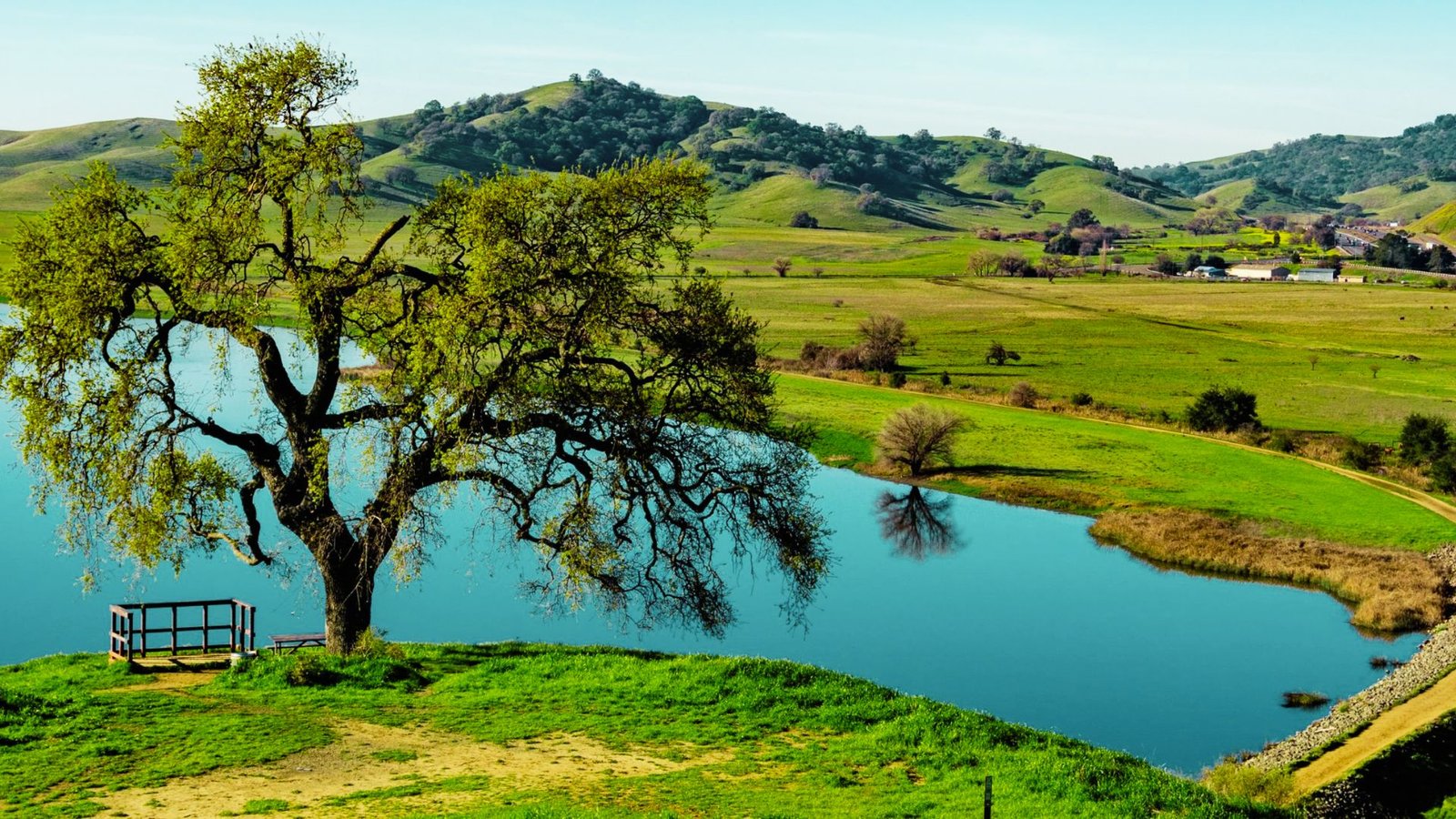 The 5 Acre Lagoon and Wildlife Habitat