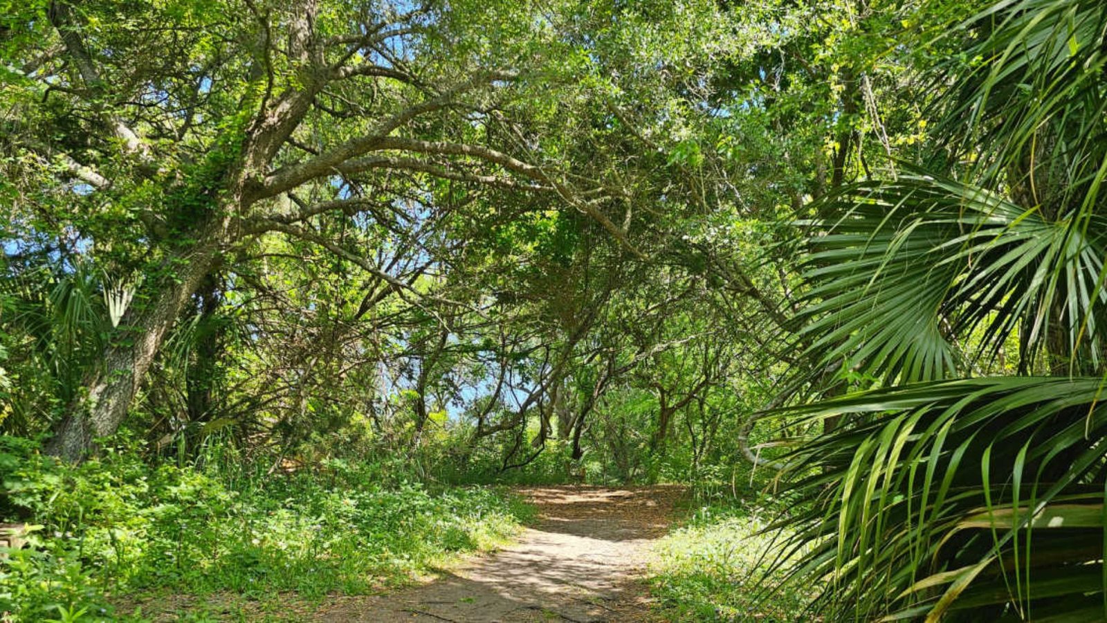 Walk Through Indian Shell Mound Park