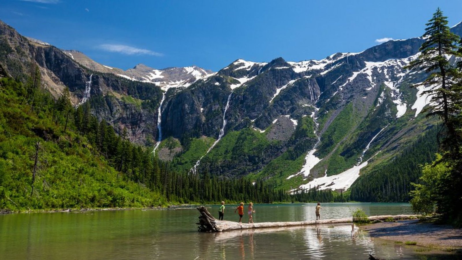 Avalanche Lake Trail