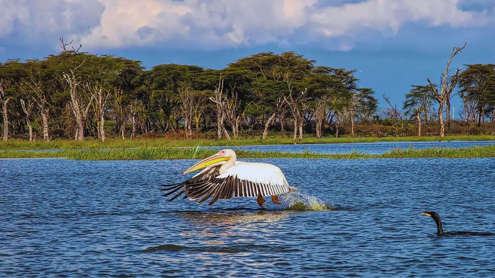 Lake Naivasha