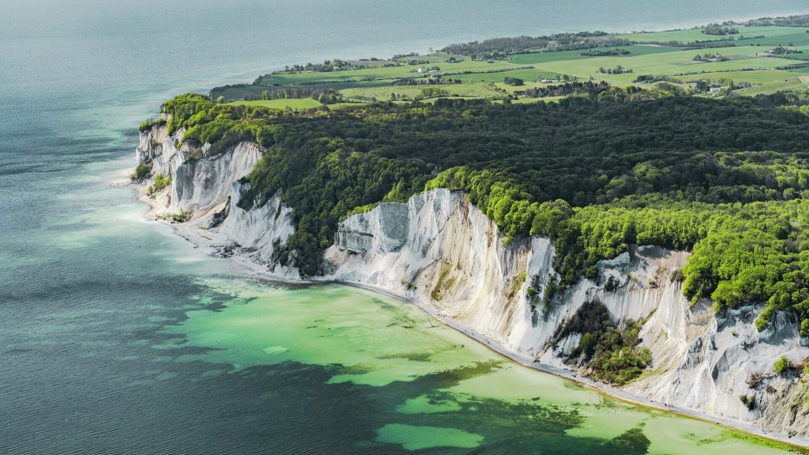 8. The Cliffs of Møn 
