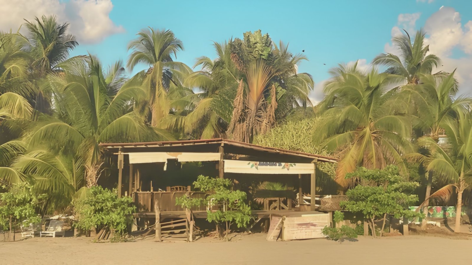 Find the Local Culture