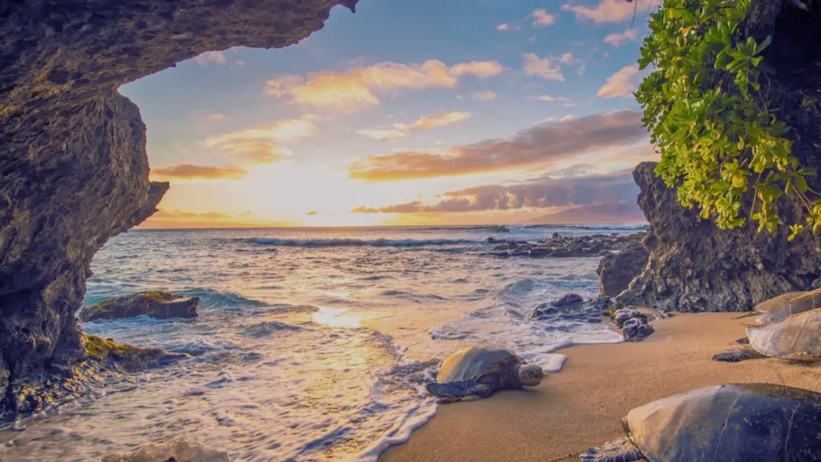 7 Day Maui Itinerary Family Guide