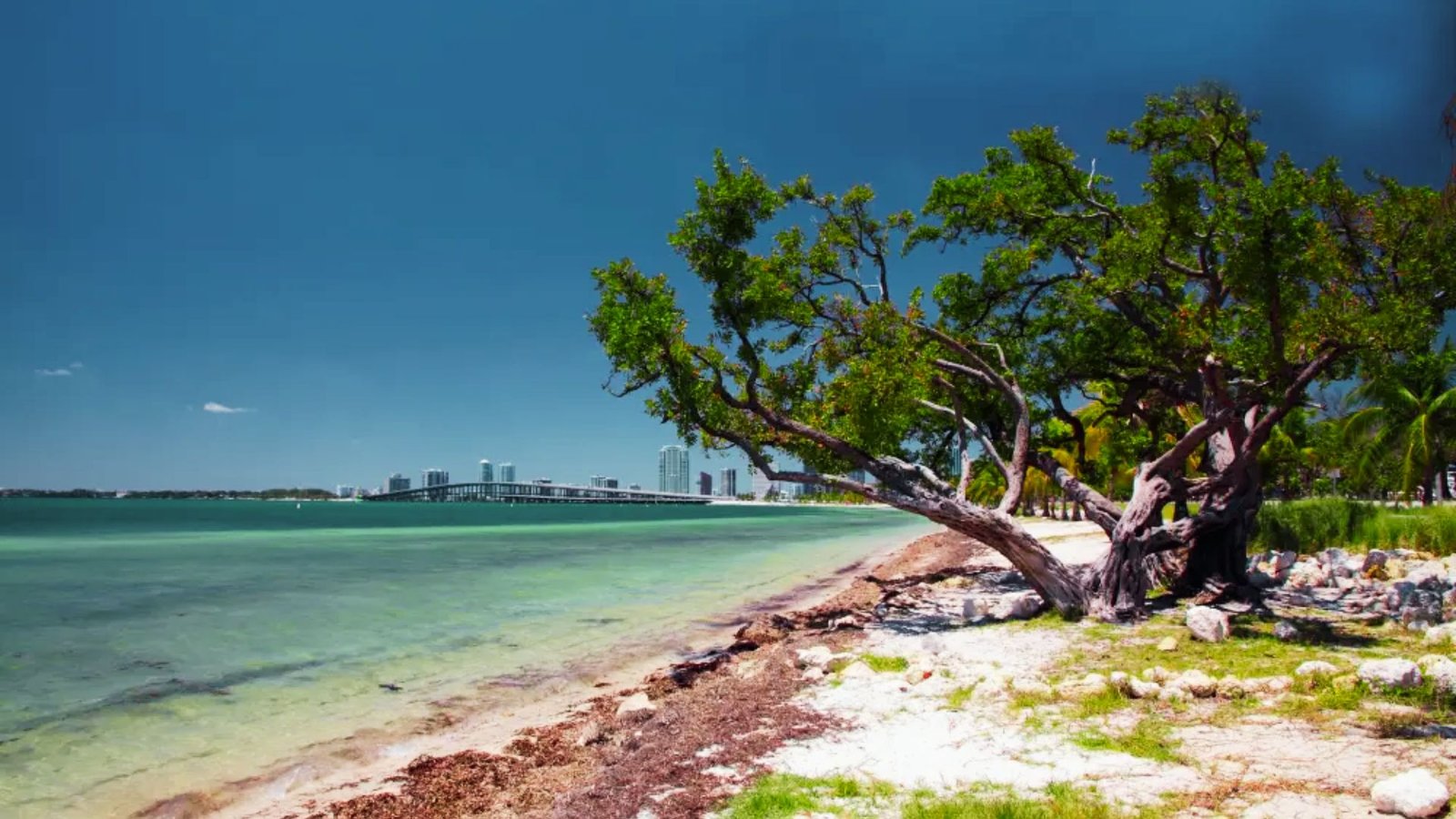 Overview of Hobie Island Beach Park
