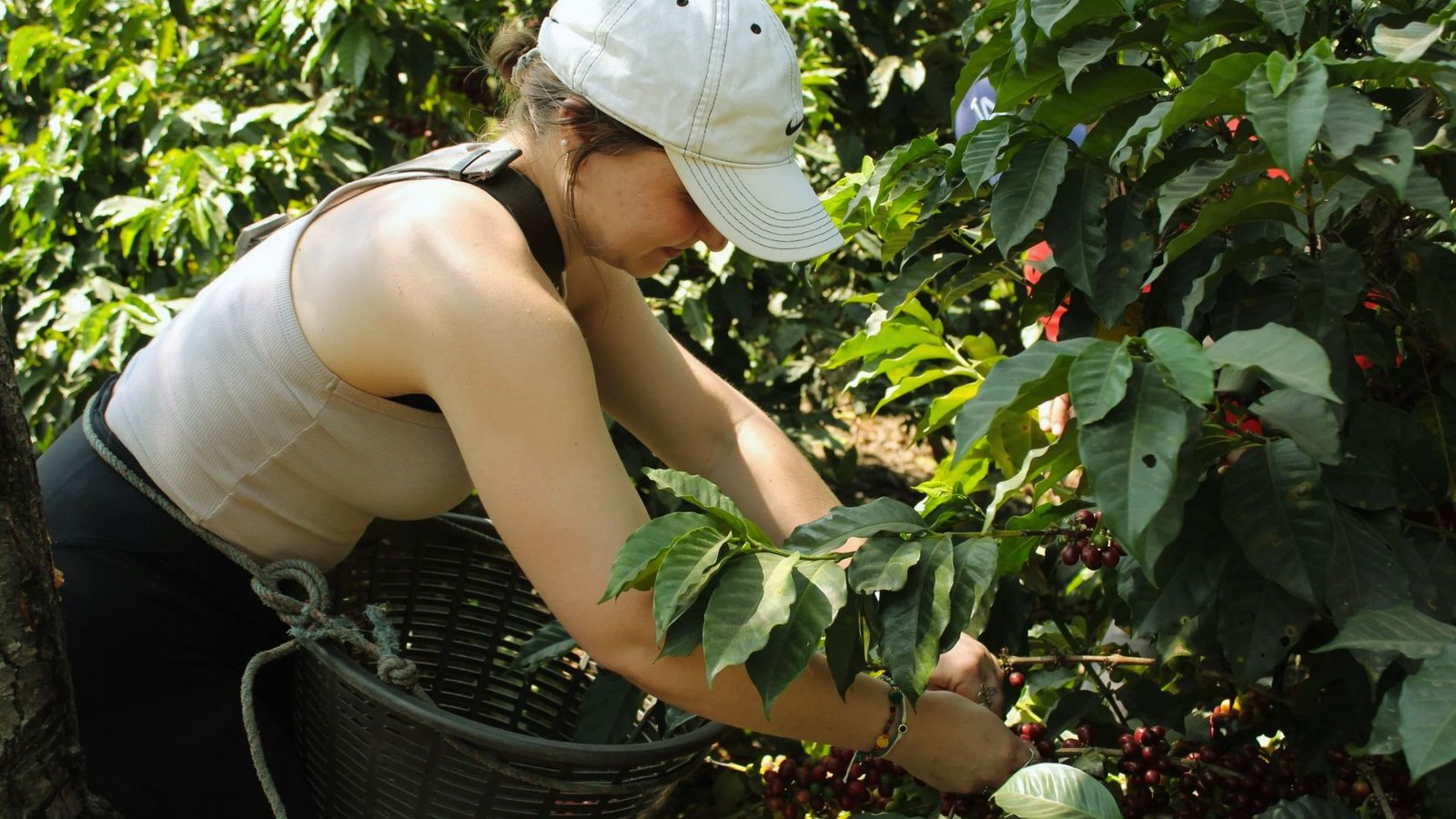 Hands-On Experiences