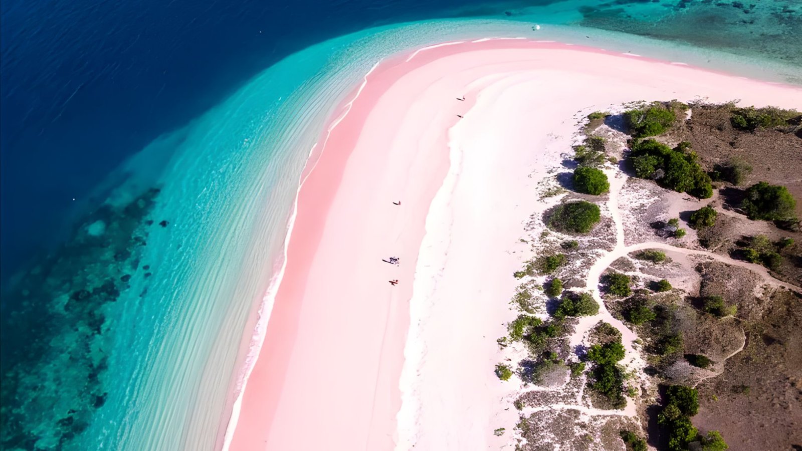 What to Do at Pink Beach Komodo Island