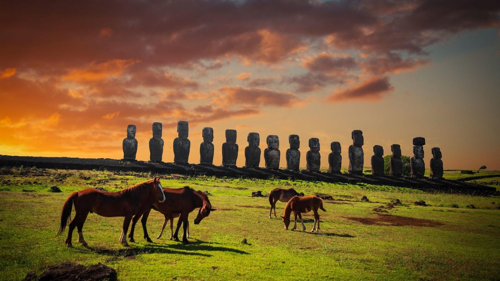 Rules and Etiquette When Visiting