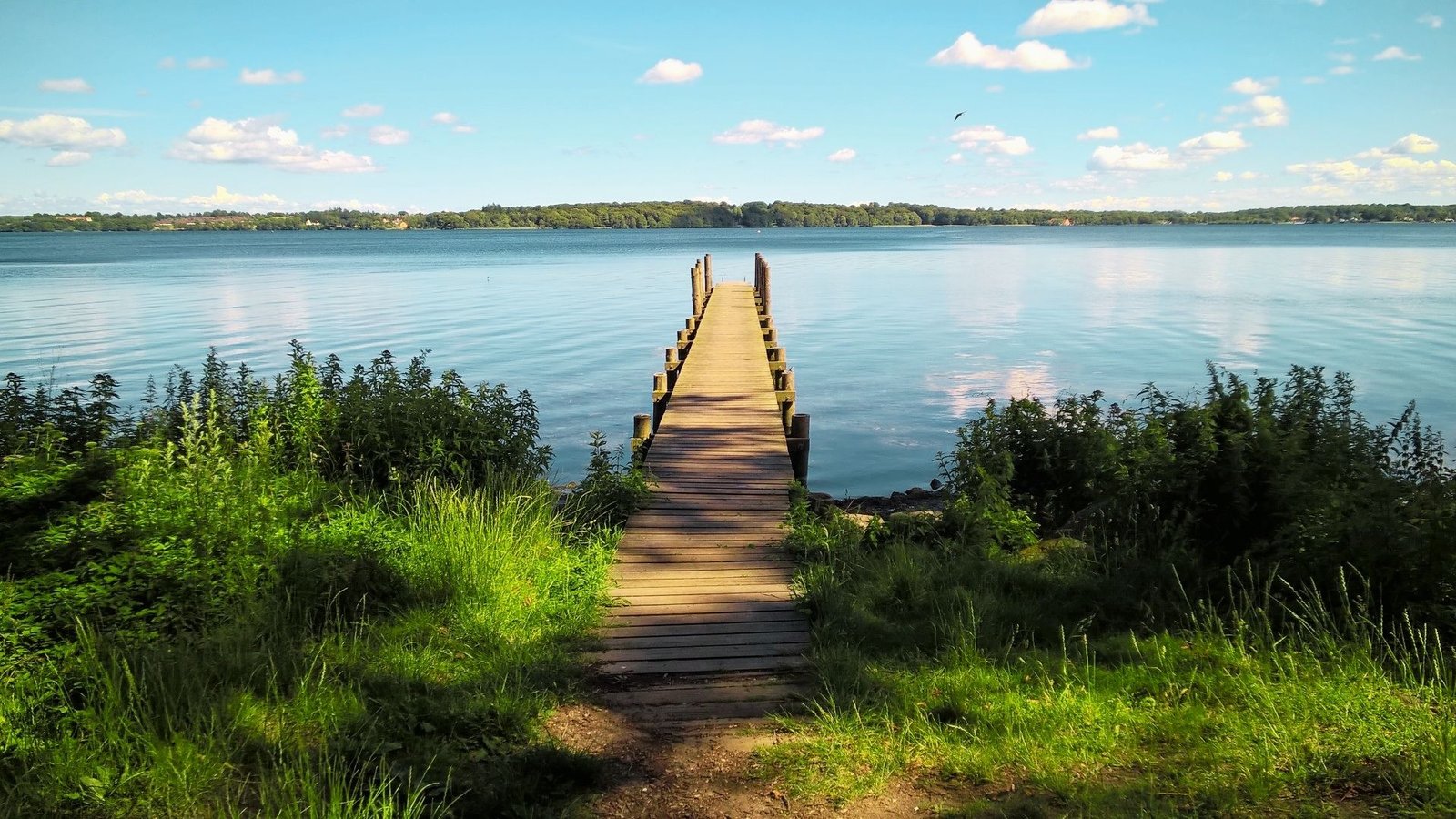 15. Lake Esrum & Gribskov Forest
