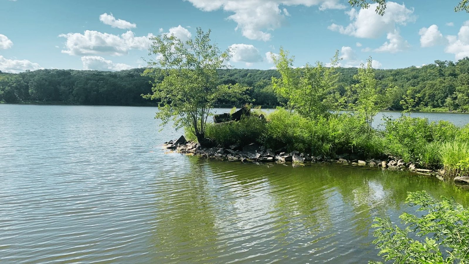 Hike Along Lake 'O the Dalles