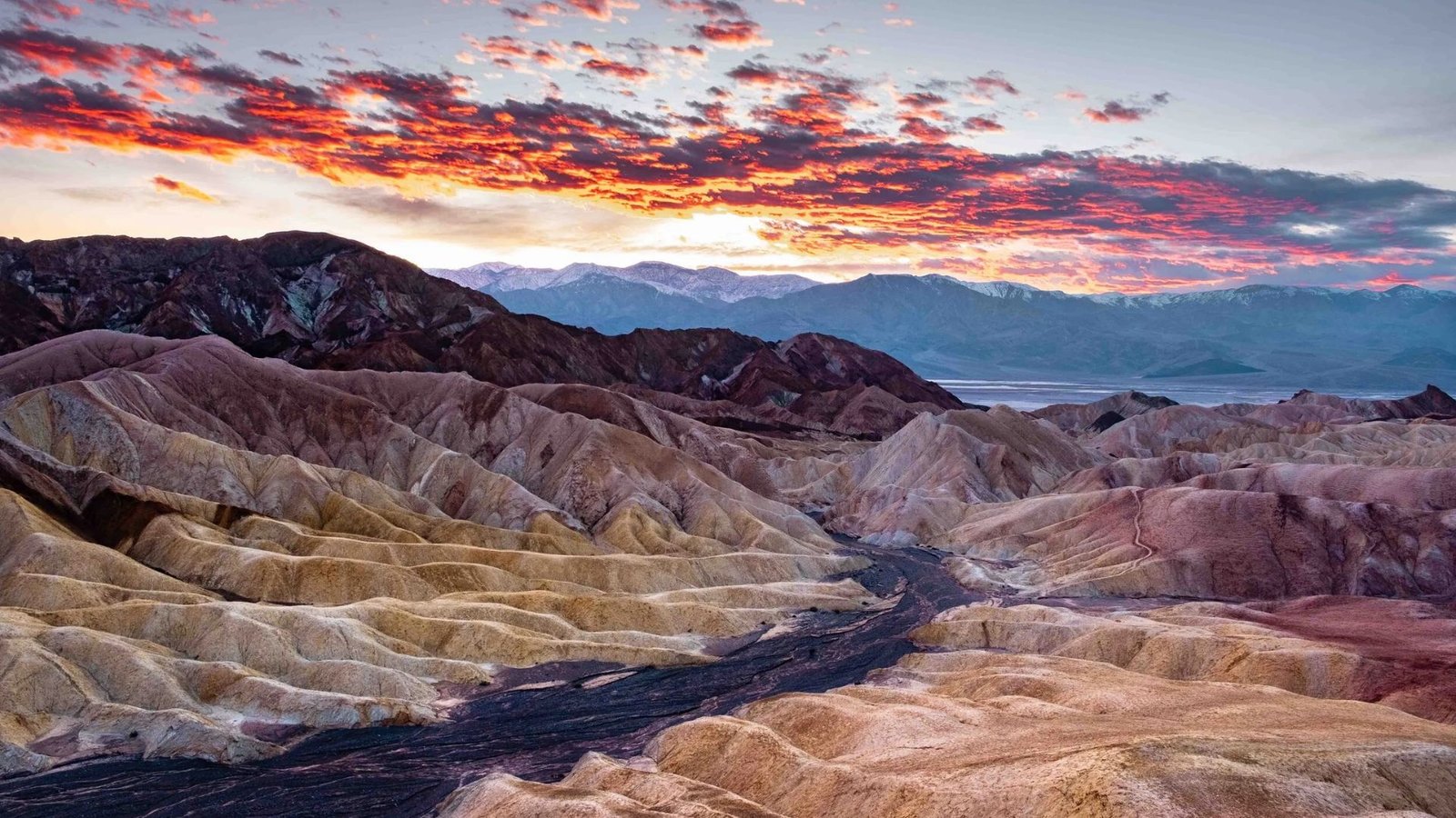 Why Timing Your Visit Matters