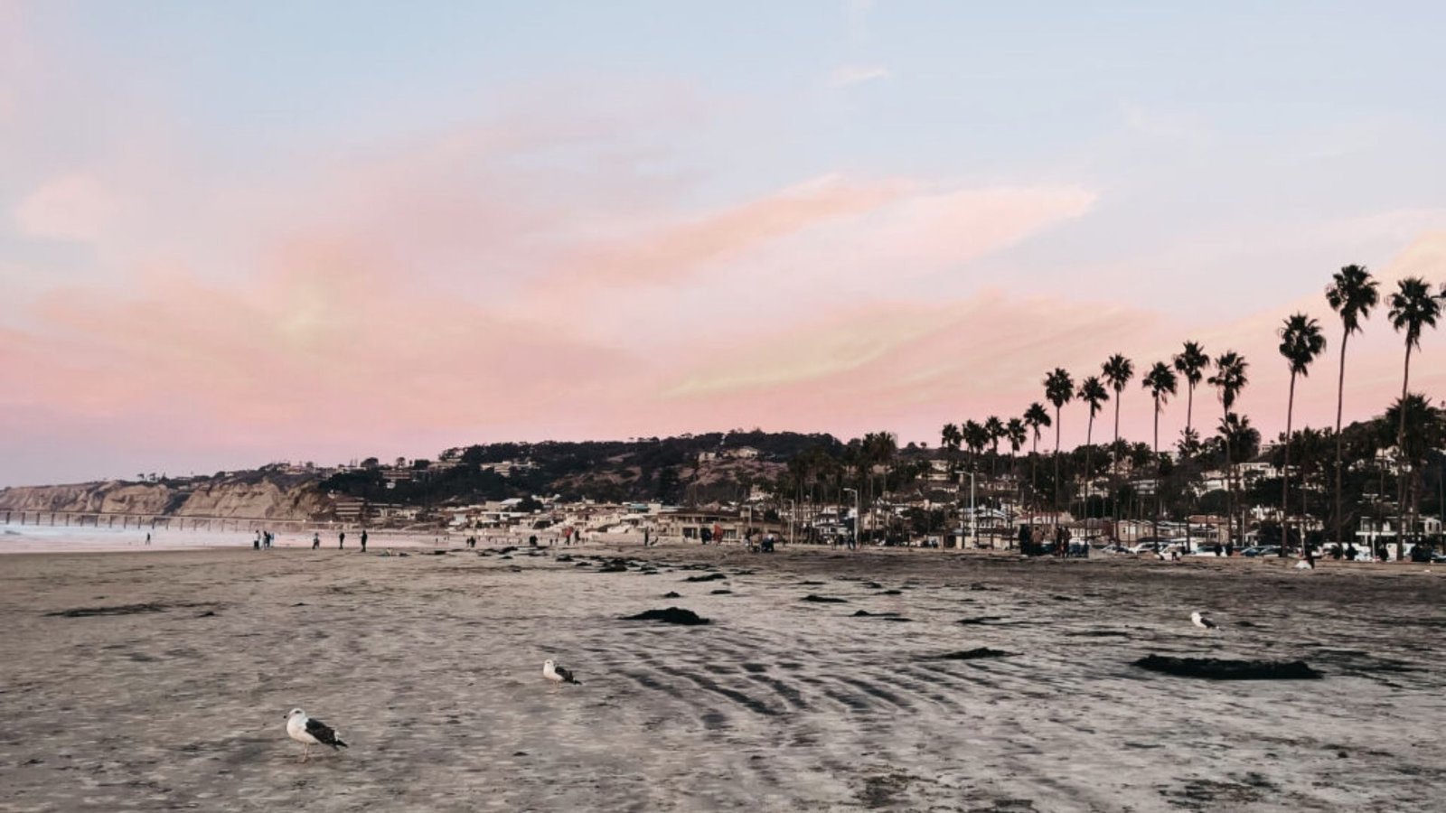 Best Time to Visit San Diego by Season