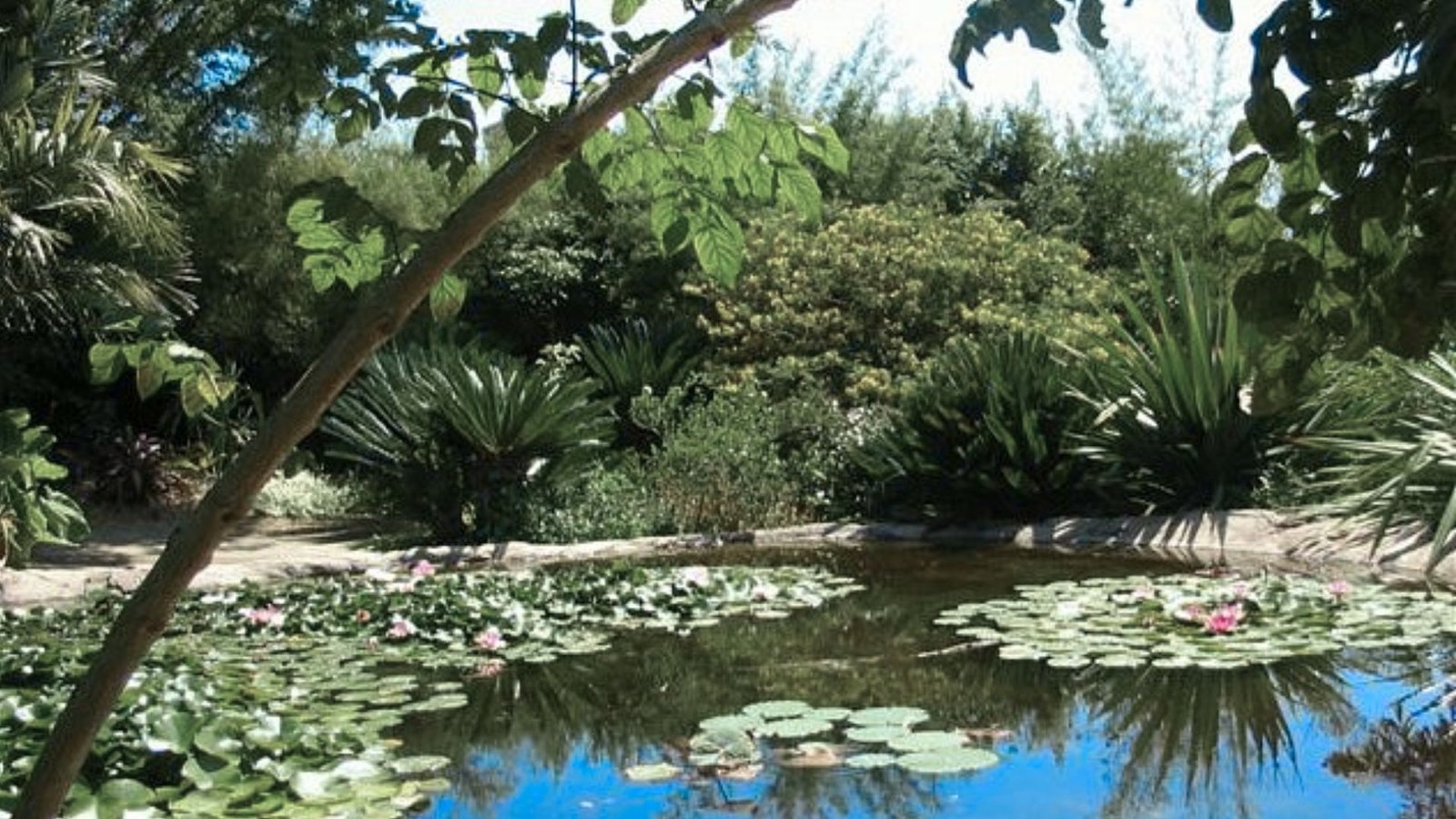 Gardens, Culture & Unique Spots