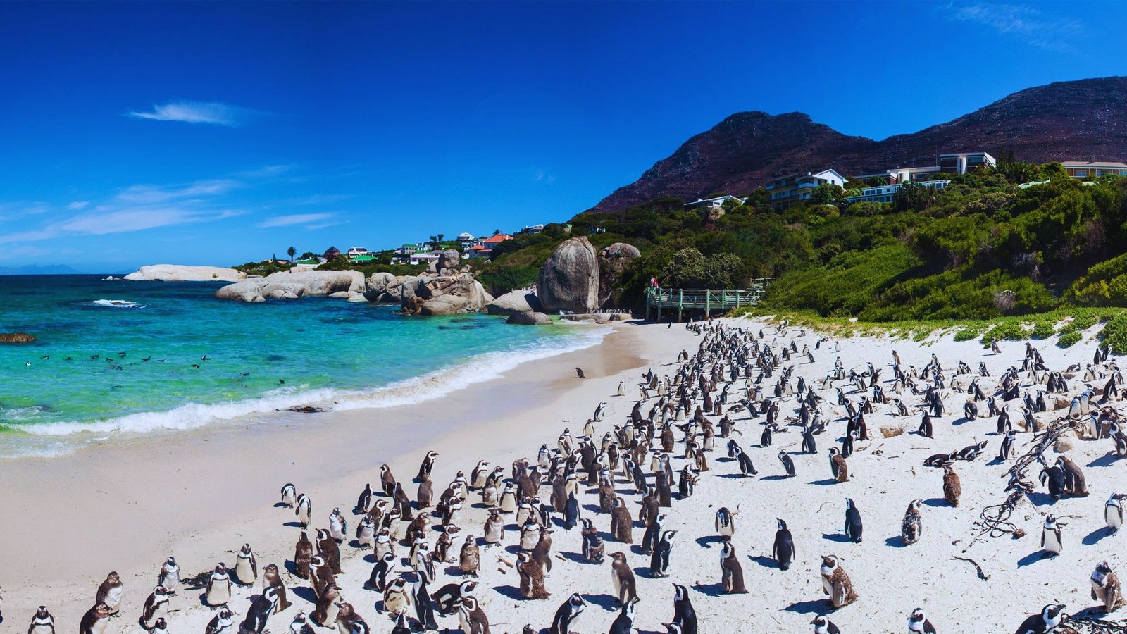 Cape Point Peninsula