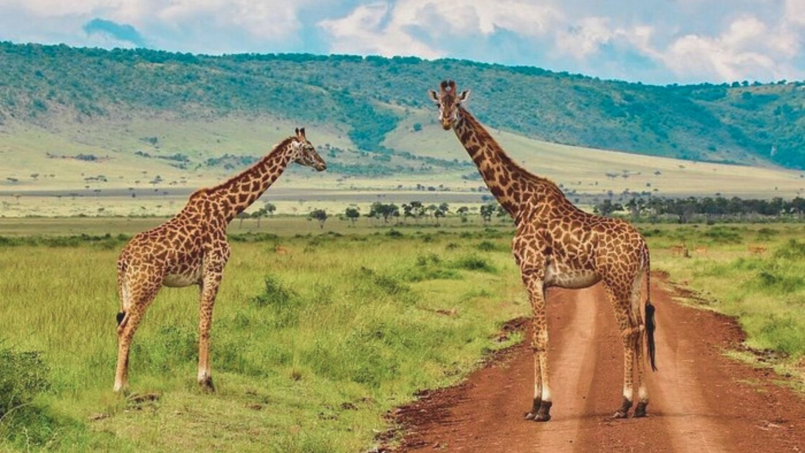 Maasai Mara National Reserve