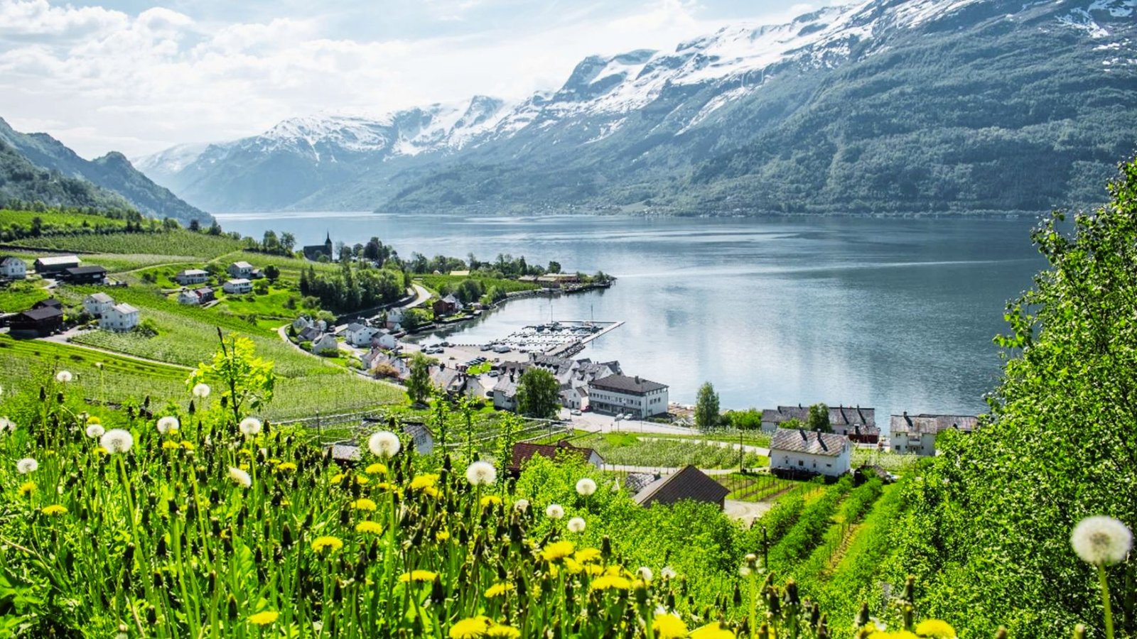 Hardanger Fjord Fjords