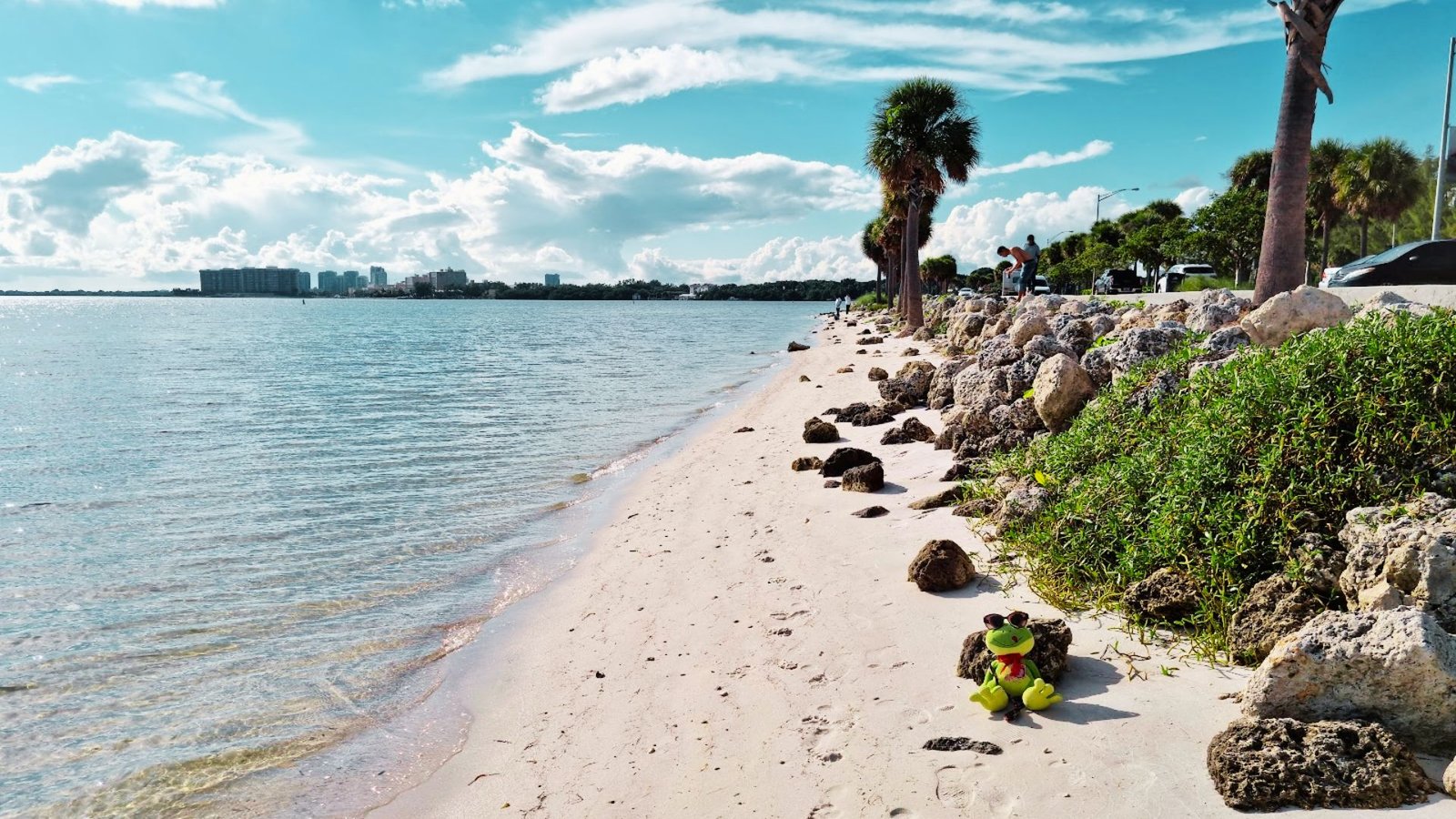 Hobie Island Beach Park: Things to Do & Highlights