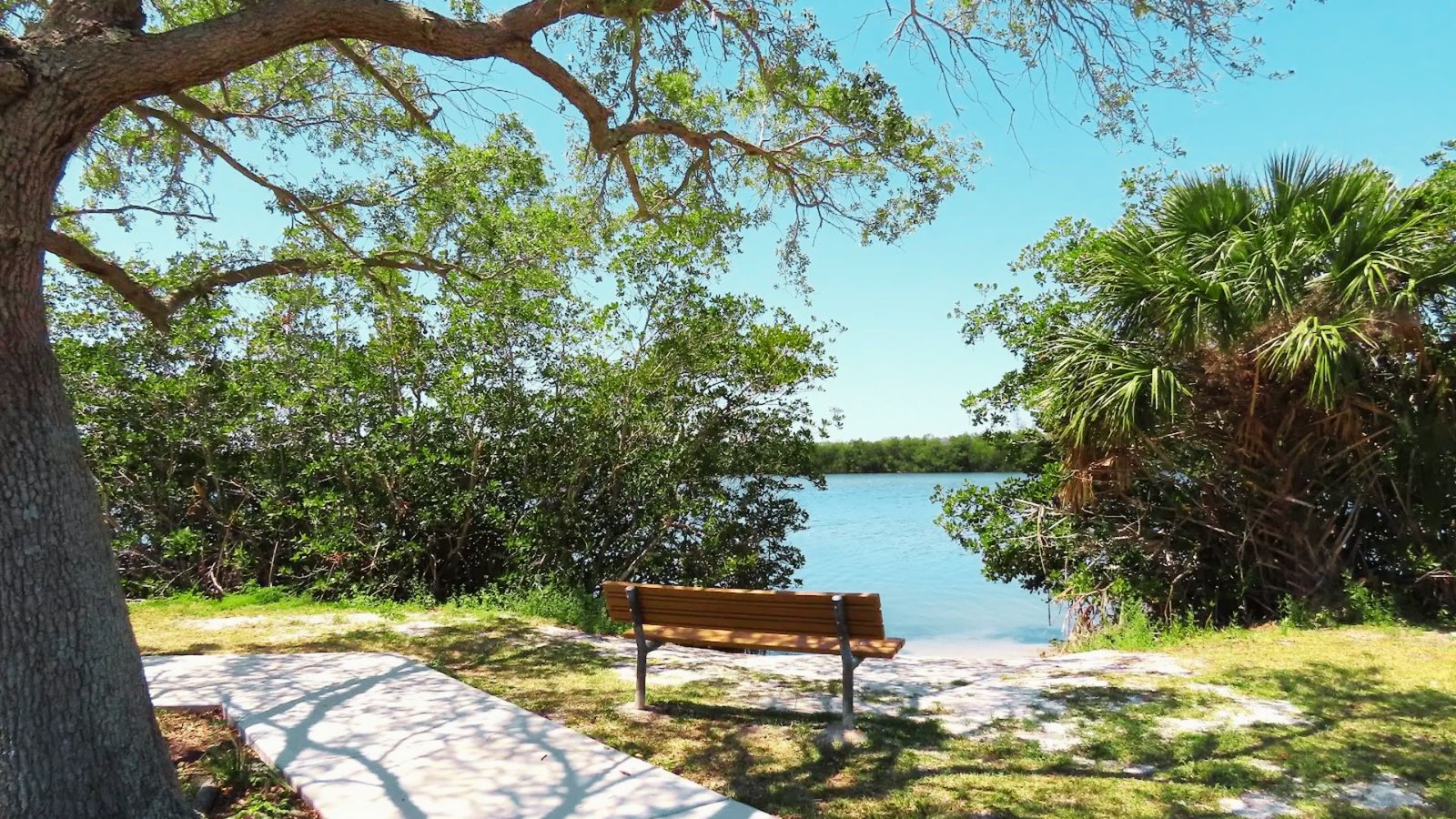 Location & Accessibility