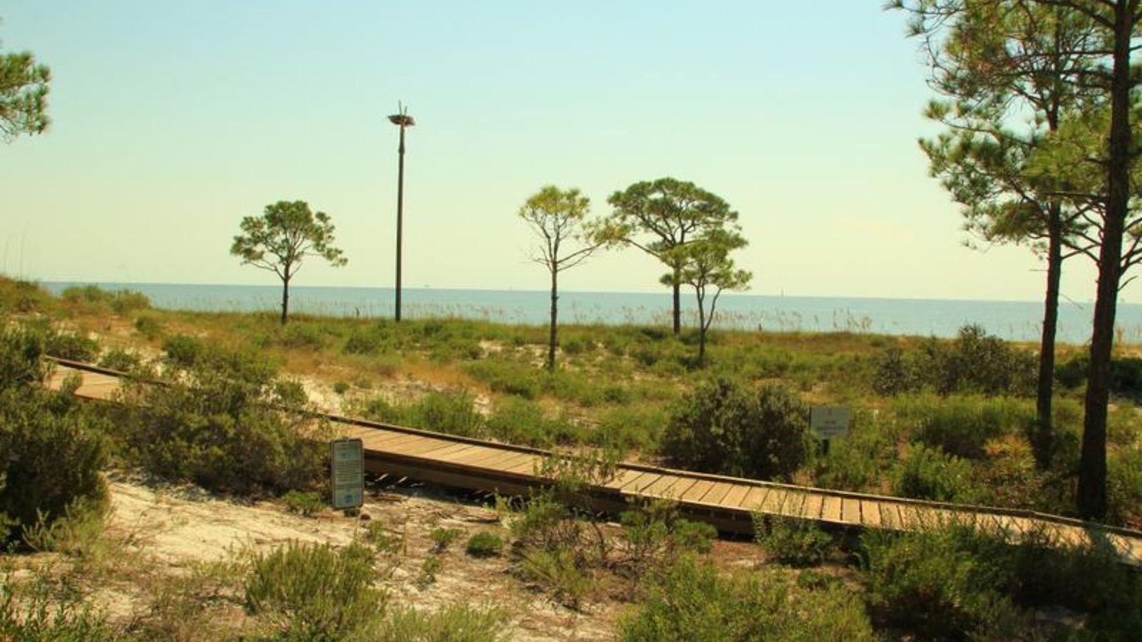 Check Out Wildlife at Audubon Bird Sanctuary