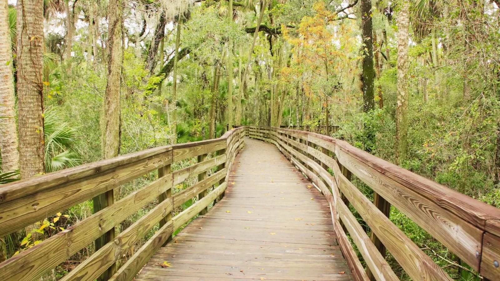 North of Orlando Day Trips