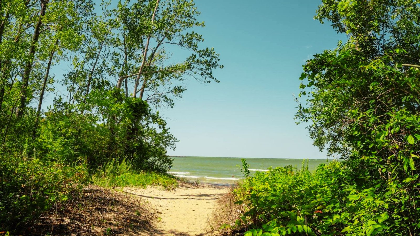 North Shore Alvar State Preserve