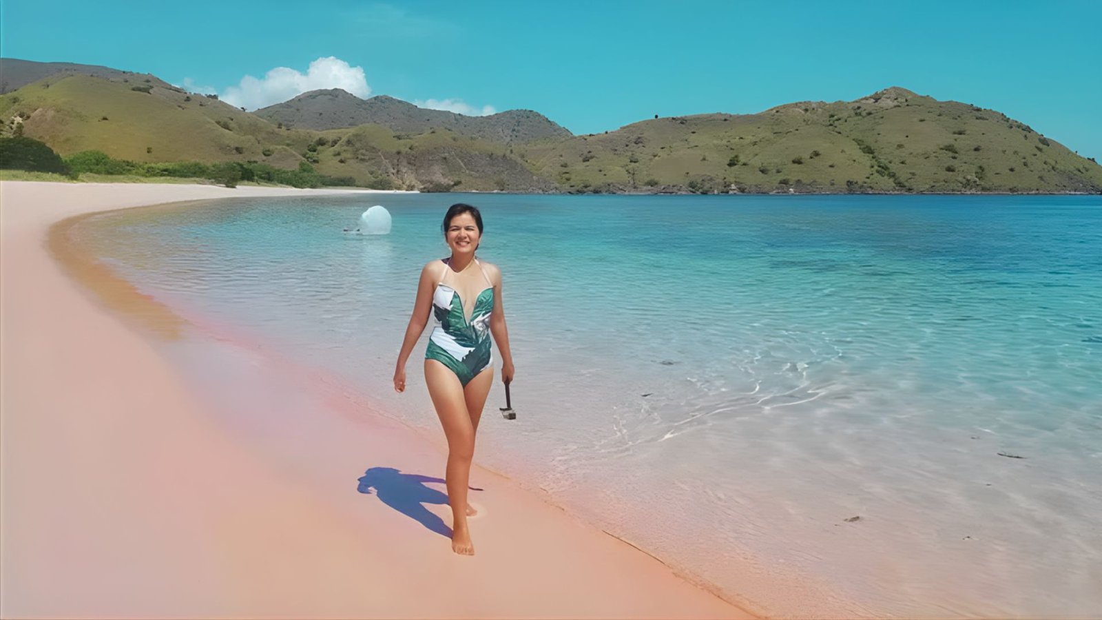 Pink Beach Komodo Island: How to Visit, Tips & Travel Guide
